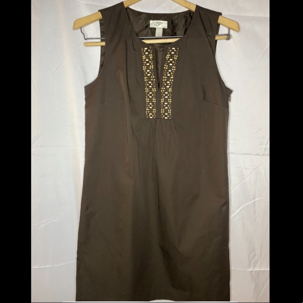 Ann Taylor Loft size 6 lined brown dress